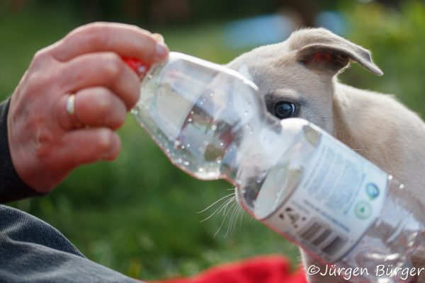 Yari bestaunt die Wasserflasche